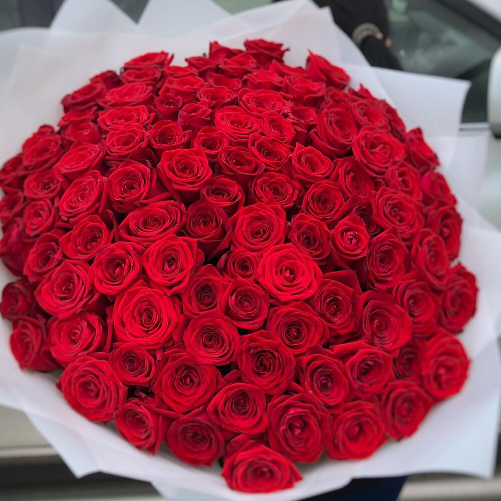 101 PREMIUM RED ROSE WR