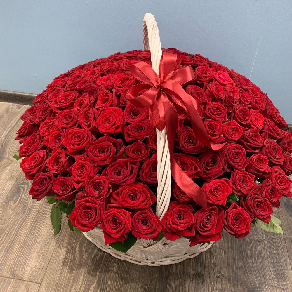 151 BASKET LUXURY RED ROSES
