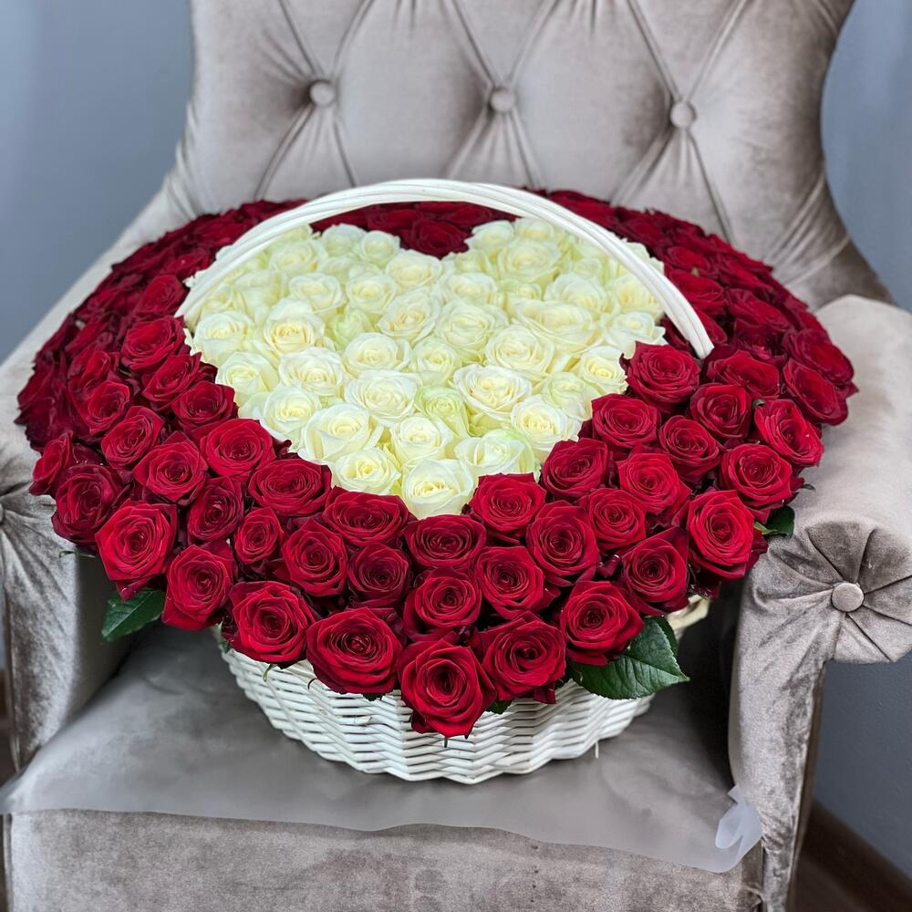 151 ROSES OF LOVE