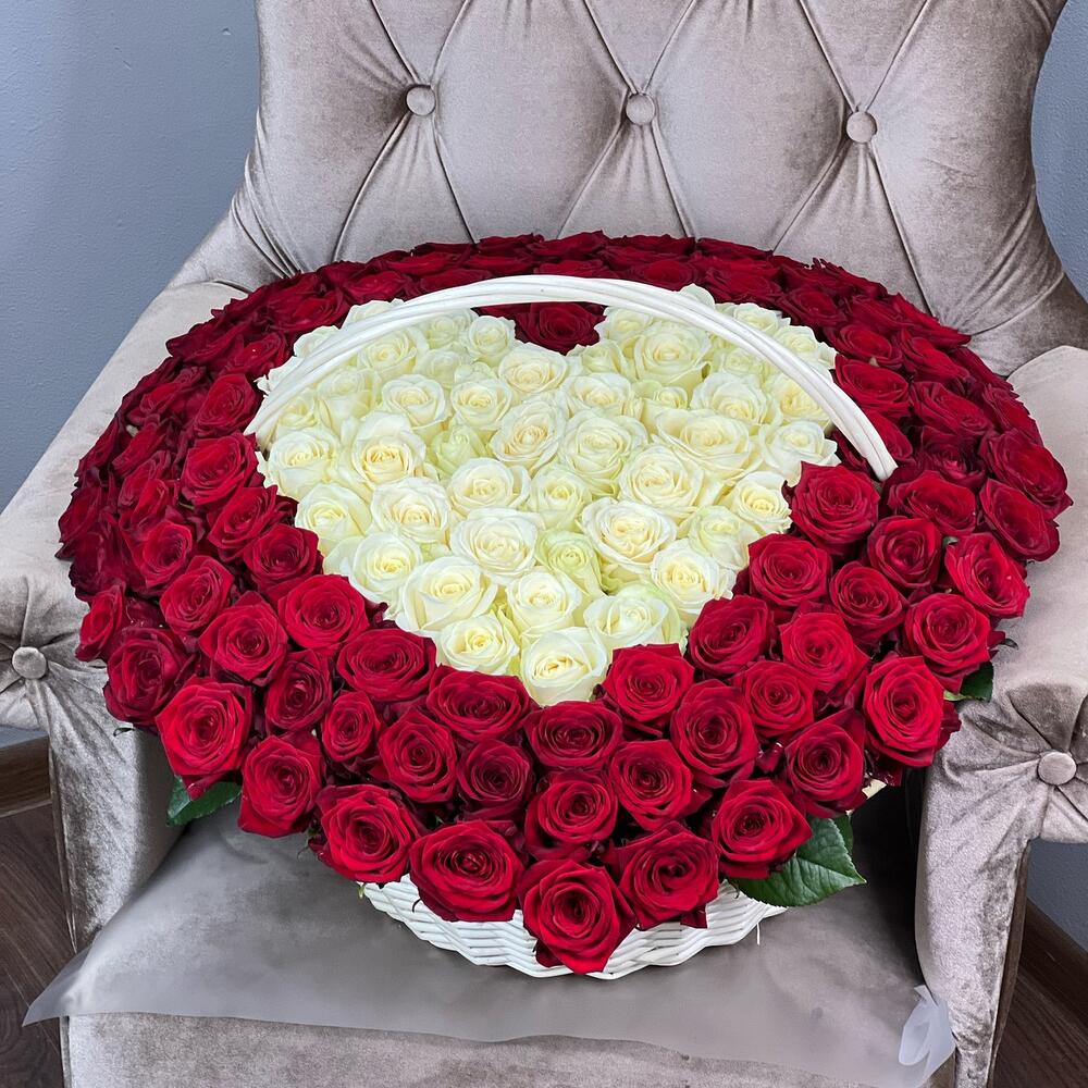 151 ROSES OF LOVE