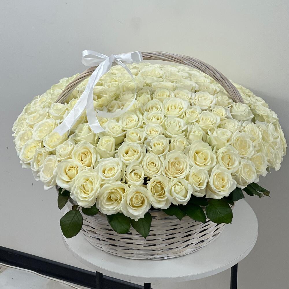 151 WHITE ROSE BASKET