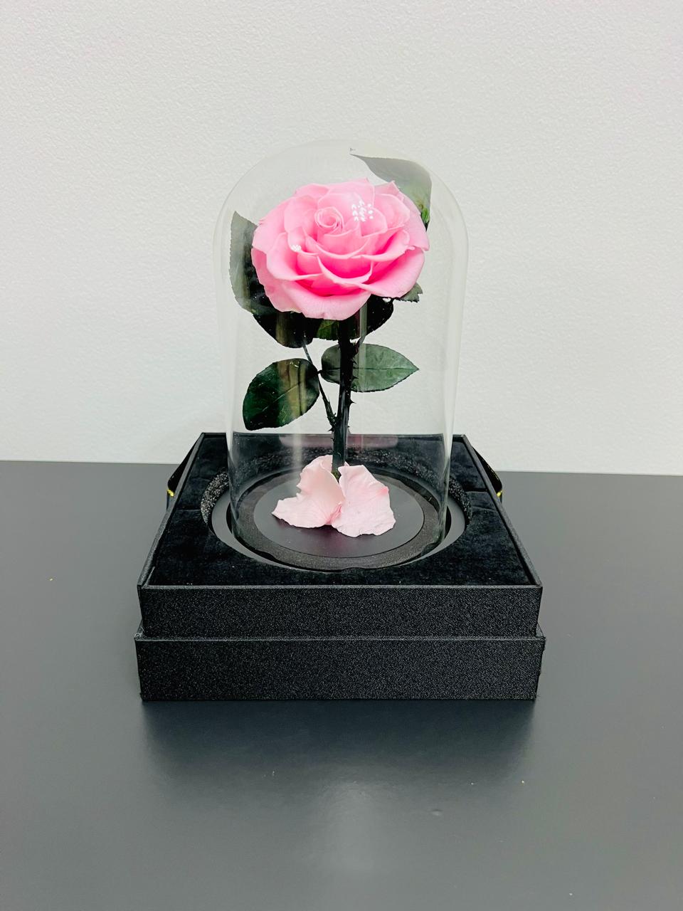 ETERNAL SINGLE PINK ROSE