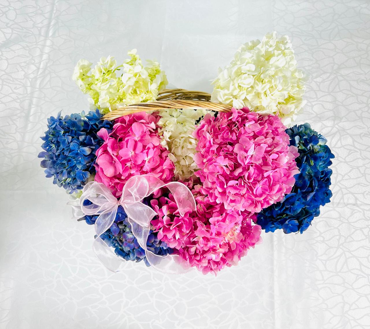 HYDRANGEA BASKET