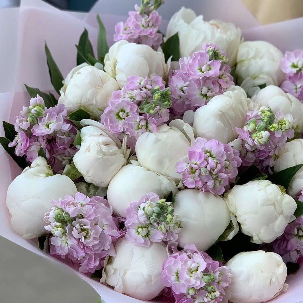 PRETTY IN PEONY