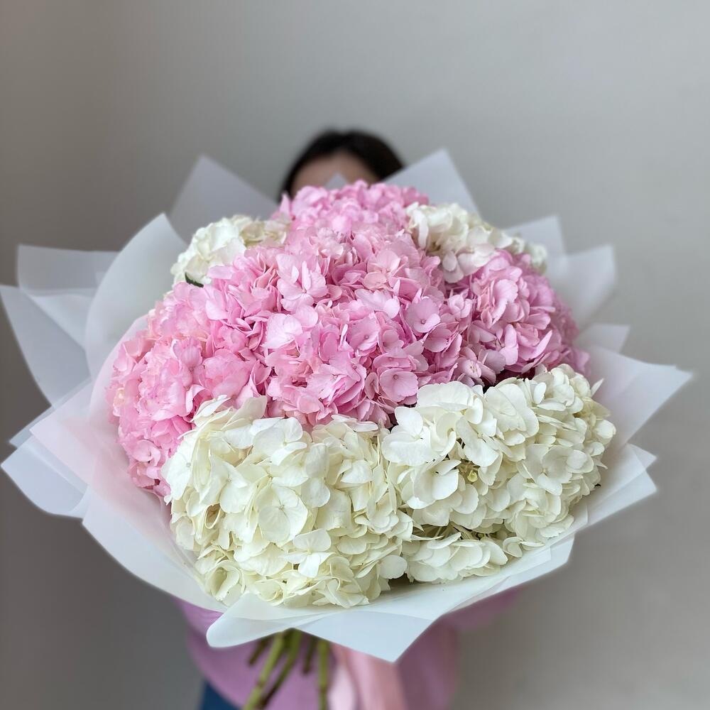 WHISPERS OF HYDRANGEA