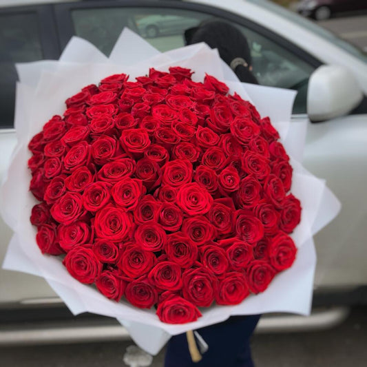 101 PREMIUM RED ROSE WR