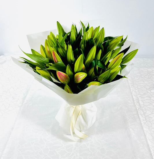 BLUSH OF LILY