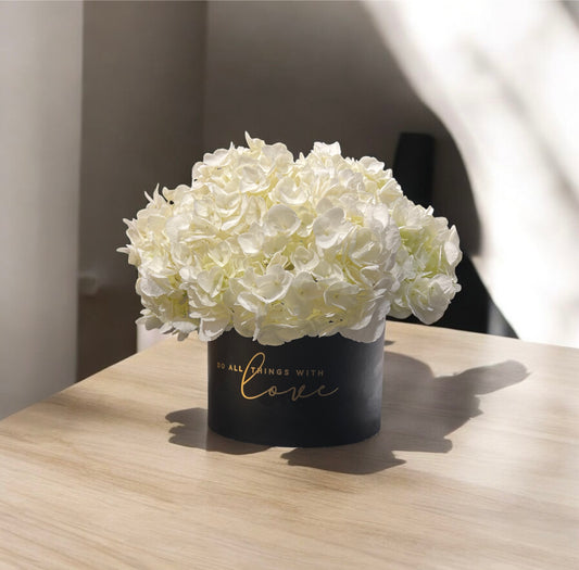 BOTANICA HYDRANGEA WHITE