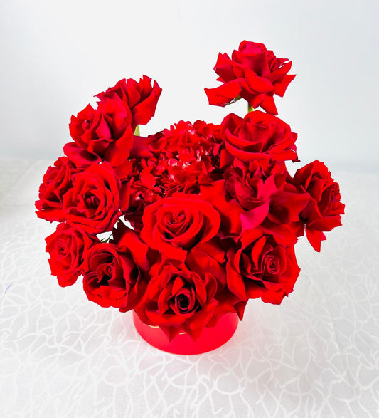 DREAM ROSES