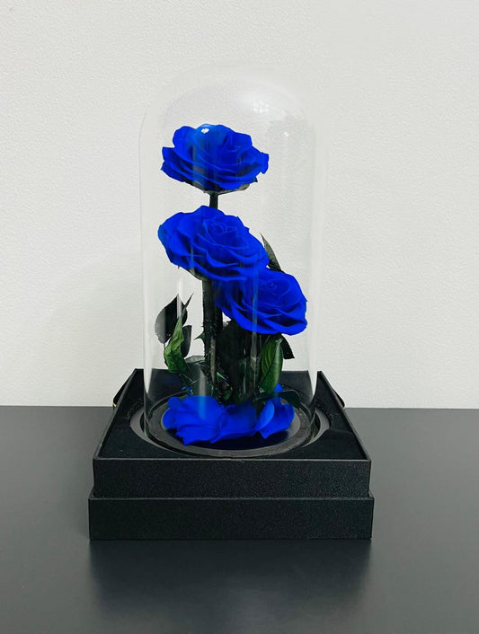 ETERNAL ROSE BLUE 3 HEADS