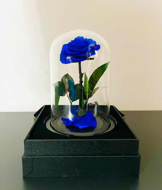 ETERNAL SINGLE BLUE ROSE