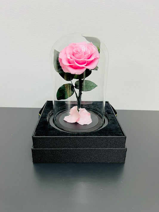 ETERNAL SINGLE PINK ROSE