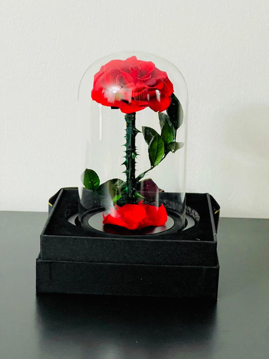 ETERNAL SINGLE RED ROSE