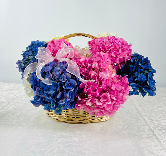 HYDRANGEA BASKET