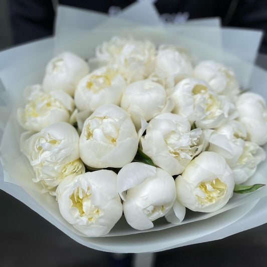 MOONLIT PEONIES