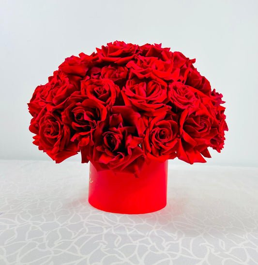 ROSY BLOOM