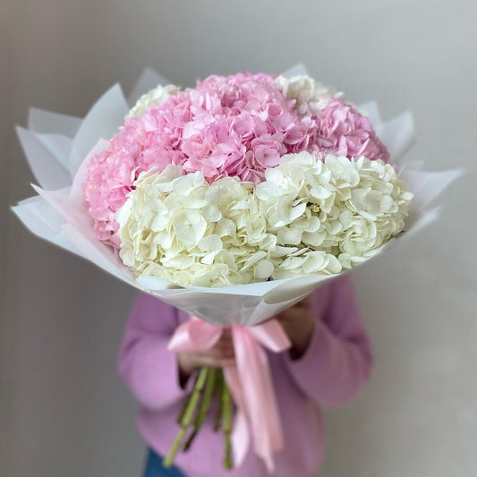 WHISPERS OF HYDRANGEA